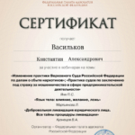 Сертификат 11.03.2026 – 6 часов - Васильков Константин Александрович