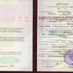 Диплом - Жирова Марина Юрьевна