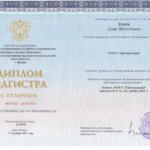 Диплом Фомин Д.М. РГАИС 2024 - Фомин Денис Михайлович