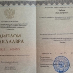 Диплом бакалавра - Бабина Элла Игоревна