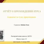 Отчет о прохождении курса - Бабина Элла Игоревна