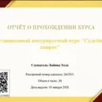 Отчет о прохождении курса - Бабина Элла Игоревна