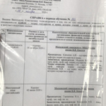 Справка - Васильков Константин Александрович