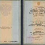 Диплом: Воронежский государственный университет, 2003 — Харчевников В.В.