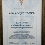 Благодарность - Шателюк Андрей Васильевич