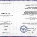 Диплом - Сокиркин Андрей Юрьевич