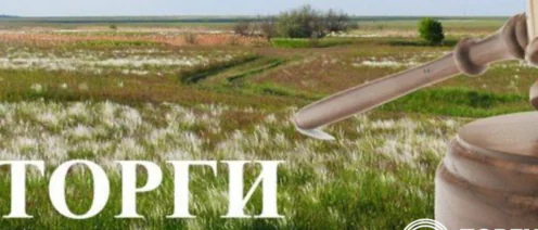 Предоставление земельного участка без торгов