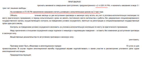 Условный срок по ч. 2 ст. 228 УК РФ: как это стало возможным