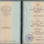 Диплом - Витовская Юлия Михайловна