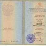 Диплом: Томский государственный университет, 2005 — Круглова Н.В.