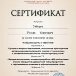 Сертификат 9 - Зайцев Роман Олегович