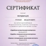 Сертификат от 22 апреля 2026 г. 6 часов - Мордвинцев Роман Федорович