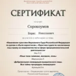 02. Вебинар 11.03.2026 (6 часов) - Сорокоумов Борис Николаевич