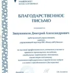 БП ВолГУ Зипунников Д.А - Зипунников Дмитрий Александрович