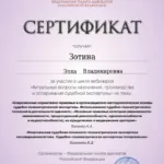 Сертификат - Зотина Элла Владимировна