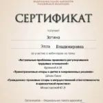 Сертификат 3 - Зотина Элла Владимировна