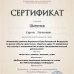 Сертификат - Шепелев Сергей Евгеньевич