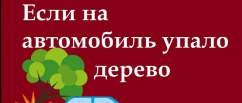 Если на автомобиль упало дерево или снег со льдом