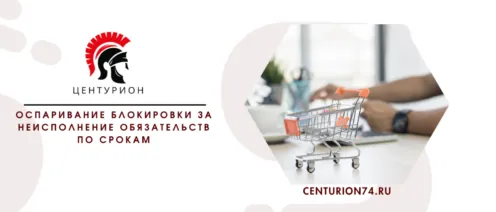 Оспаривание блокировки за неисполнение обязательств по срокам