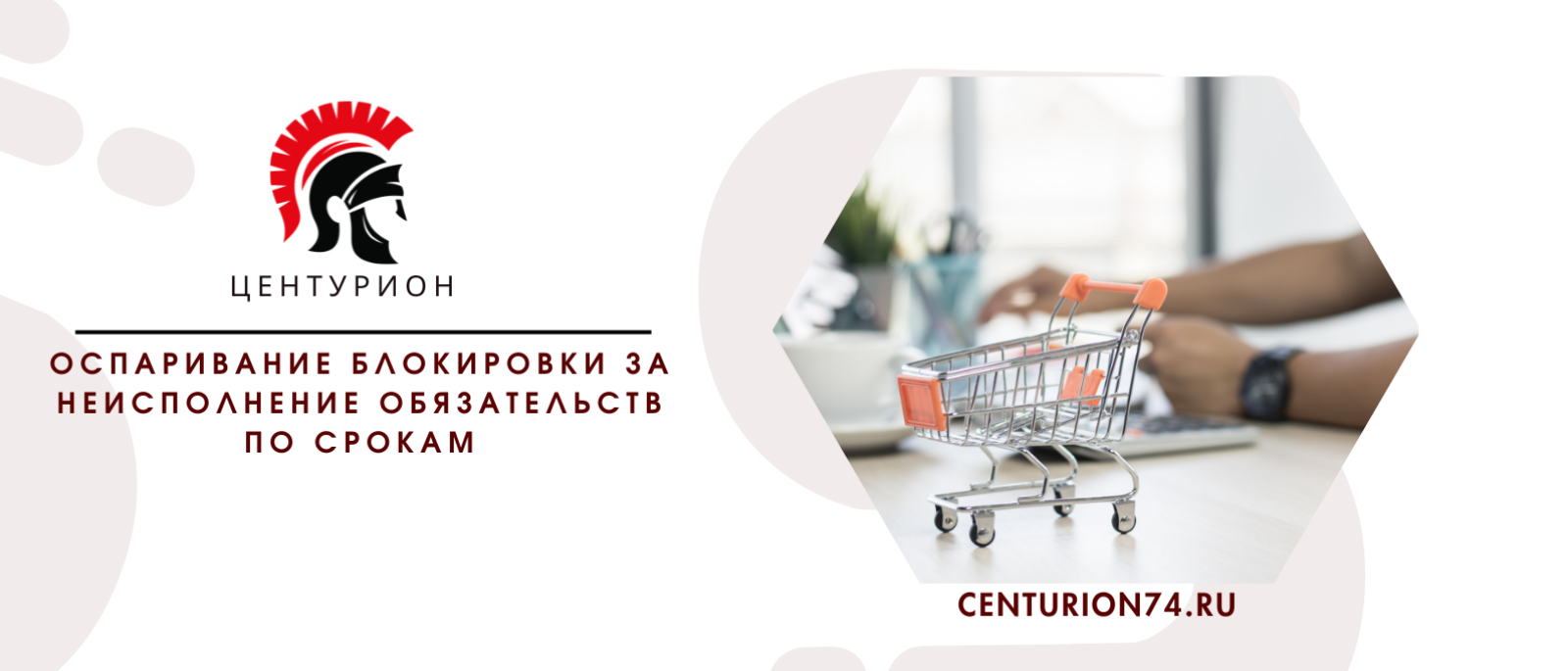 Юрист Русанова Валентина Андреевна объясняет: Оспаривание блокировки за неисполнение обязательств по срокам