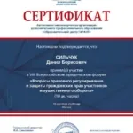 Сертификат гарант 18.09.2024 - Сильчук Данил Борисович