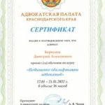 Сертификат 3 - Береснев Дмитрий Алексеевич
