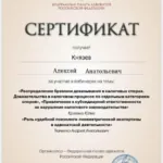 Сертификат 4 - Князев Алексей Анатольевич