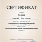 Сертификат 6 - Князев Алексей Анатольевич