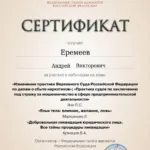 Сертификат - Еремеев Андрей Викторович