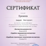 Сертификат - Еремеев Андрей Викторович
