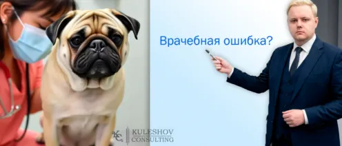 Врачебная ошибка или халатность