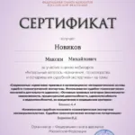 Сертификат - Новиков Максим Михайлович