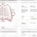 Диплом о проф переподготовке - Инешина Жанна Игоревна
