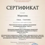 Сертификат - Морозова Ольга Сергеевна