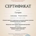 Сертификат 2 - Гуторов Александр Владиславович