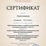 Сертификат - Лавочников Владимир Викторович