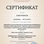 Сертификат 2 - Лавочников Владимир Викторович