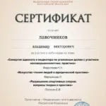 Сертификат 3 - Лавочников Владимир Викторович