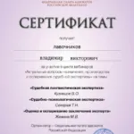 Сертификат 4 - Лавочников Владимир Викторович