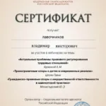 Сертификат 5 - Лавочников Владимир Викторович