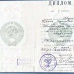 Диплом - Долгих Ирина Олеговна