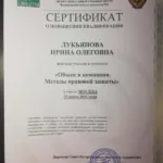 Сертификат 2 - Долгих Ирина Олеговна