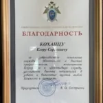 Благодарность - Коханец Егор Сергеевич