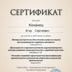 Сертификат 13.11.2024 - Коханец Егор Сергеевич