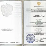 Диплом - Кобзарев Игорь Михайлович