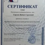 Сертификат 3 - Сергеев Вадим Сергеевич