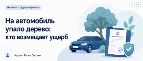 Дерево упало на автомобиль: какие доказательства нужны для взыскания стоимости ремонта
