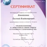 Сертификат 2 - Конопленко Евгений Владимирович