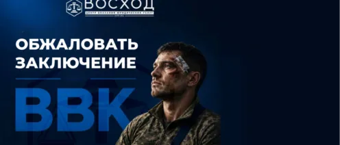 Не устраивает заключение ВВК. Что делать? Обжалование заключения ВВК