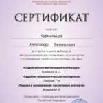 Сертификат - Кормильцев Александр Евгеньевич